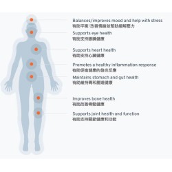 “Dropi” Cod Liver Oil Capsule鱈魚肝油丸 180 粒裝