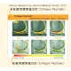 JointOK 關捷健 專利膠原微份子關節護膚精華 10克 x 15包