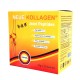 Neue Kollange 動德樂