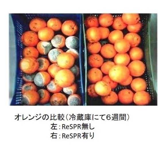 ReSPR Flex NASA太空級空氣儀［美國製造,全球發售］醫療級消毒殺菌及微原素 ReSPR Flex（寵物可用）