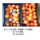 ReSPR Flex NASA太空級空氣儀［美國製造,全球發售］醫療級消毒殺菌及微原素 ReSPR Flex（寵物可用）